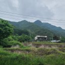 구만리 어룡동 이미지