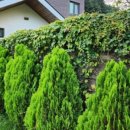 라빌라빌라 이미지