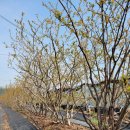 안고랑농장 이미지