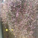 남산정요양병원 이미지