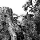 운정초등학교 이미지