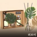 캔들랩스
