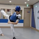 용비석사 태권도 이미지