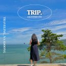 돌산중앙횟집 | 6월 국내여행지 가볼만한 곳 추천 BEST5