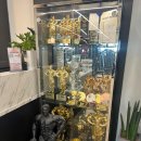 제이원짐 PT 이미지