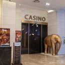 평창 알펜시아 IHG호텔 수페리어룸 내돈내산후기