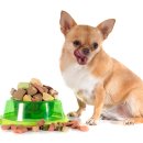 참누리 동물병원 이미지