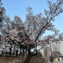 김명숙미용실 - 남동구 호구포로764번길 39-1 | 그건 일회적인 탐사였을뿐야/26.3.15~4.30일상