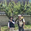 후기/950회 토요걷기(7/4)치악산 바람길숲 트레킹외해설탐방(인솔자님 사진) 이미지