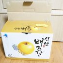 압해도용마을 네이버블로그