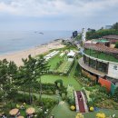 바다정원 이미지