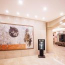 제주로베로 이미지