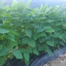 민혁농장 이미지