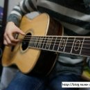 통기타(입문A) 이미지