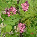 내서읍124 이미지