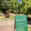 무에뜨(mouette)