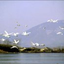 하단2동-7 이미지