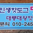 대룡대왕핫도그