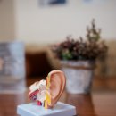 하음보청기 이미지