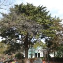 빼빼만덕 | 갈맷길 7-1코스(성지곡 수원지~동문)9.4km | | 부산 갈맷길 걷기