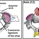 영광한의원 이미지