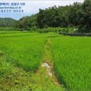 영천시임고면사리보건진료소 이미지