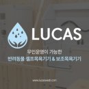 도그토피아 이미지