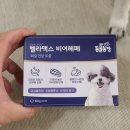 맥스농장 | 강아지 피부 영양제 SBS TV동물농장 추천 벨라맥스 후기