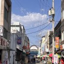 유연선「동백꽃」 | [초보 운전 일기+D54] 혼자 춘천 여행 / 벚꽃 사냥 / 별미당 군만두 / 공지천 출렁다리 / 김유정역