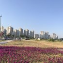 참(charm)행정사 사무소 이미지