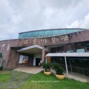 신효동 하귤나무 | 감귤의 고향 효돈마을을 한눈에 볼 수 있는 가성비 제주오름 - 서귀포 신효동 월라봉(feat. 지드래곤 숲)