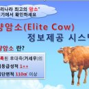 종축개량협회, 한우 우량암소 정보 제공 서비스 이미지