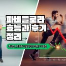 우리기전 | 파비플로라 효능과 후기 정리: 흑생강 다이어트 작용기전과 정체기 극복법