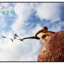 중원구청 이미지