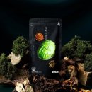 신세계건강원 이미지