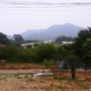 방삼(칠곡리) 이미지