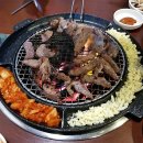 갈매기먹짱 만촌점 이미지