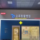 오류동물병원 이미지