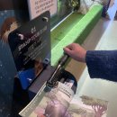 힘쎈수달 이미지