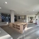 다솜동물메디컬센터 이미지