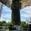 이뻐Gym 멋져Gym | [싱가포르]팬 퍼시픽 오차드 2박 후기