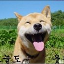 오늘도웃자 Daum카페