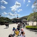 국가대표 태비태권도 이미지