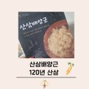 영홍삼약초샾 | 불로 장생초 산삼배양근 120년 산삼 효능, 실제 후기