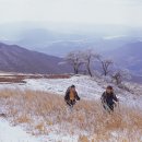 유명산골 이미지