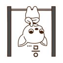 나나애견미용 이미지