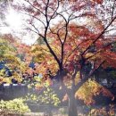 (주)동감투어