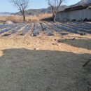 봉화군 정겨운시골 흙벽집 주택과 토지 이미지