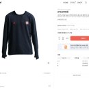 451 | 나이키 ACG 팀 USA 드라이핏 ADV 탑 옵시디언 칠리 레드 긴팔 티셔츠 (IB2634-451) 구매 후기