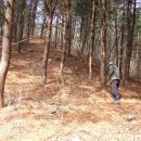 강촌갈비